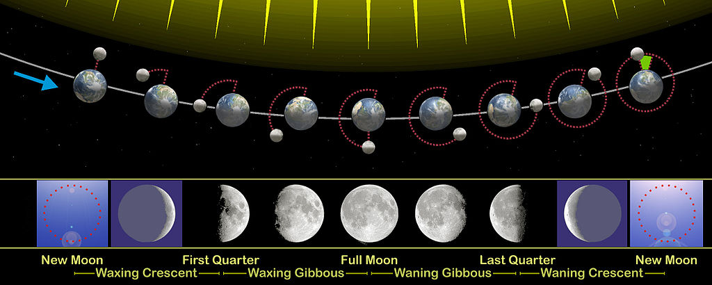 The phases of the Moon